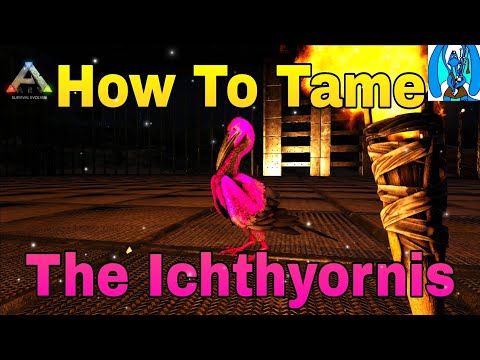 Ark Survival Evolved How To Tame The Ichthyornis