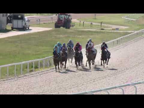 2022.06.04. 06. futam - BÁRDOSI GYÖRGY EMLÉKVERSENY HENDIKEP (II.o.) (szintetikus pálya)