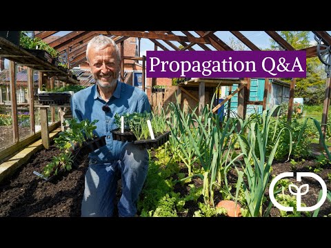 , title : 'Common questions about propagating plants'