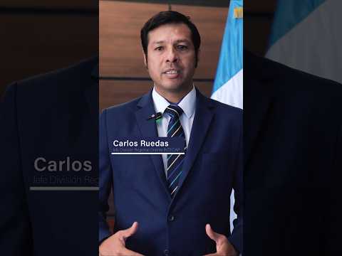 Descubre el aliado para destacar en el mercado laboral