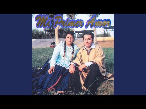 No Quiero Tu Cariño