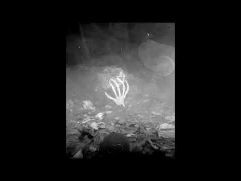 THR Cru2 - Feretro ft. Bizarro de @IDIOMA URBANO X (Visualizer)