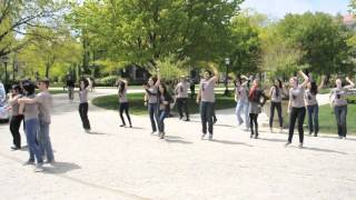 Download lagu uChicago 'Moves Like Jagger' Earth Day Flash Mob mp3