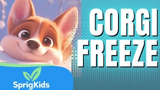 The Corgi Freeze Dance Song