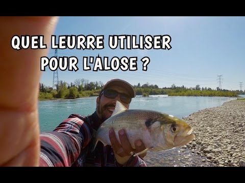 Mohamed Fishing