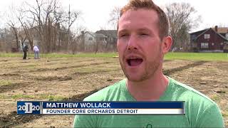 First trees at Detroit apple orchard being planted on Friday