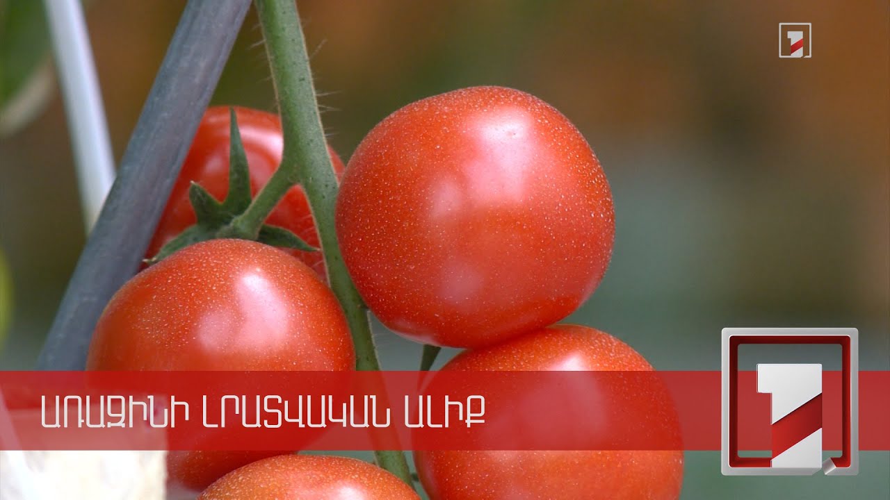 Գյուղմթերքի արտահանումն այս տարի գերազանցել է նաև նախահամավարակային ցուցանիշը