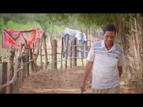 Priče s istoka 171 - Kambodža: Između zakona i zdravlja - Subota 17:05