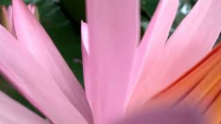 Download lagu UAS B.ARAB AMANDA MAHARDIKA RANI (2130404014) DAERAH WISATA SILABUAK mp3 Download lagu UAS B.ARAB AMANDA MAHARDIKA RANI (2130404014) DAERAH WISATA SILABUAK mp3