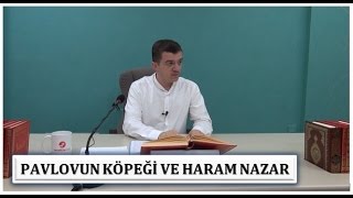 Hasan Yenidere - Pavlovun Köpeği ve Haram Nazar