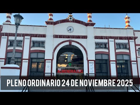 Pleno ordinario de noviembre
