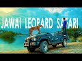 Jawai Leopard Safari | Sena Leopard Safari | Leopard Safari Rajasthan | Places To Visit In Rajasthan