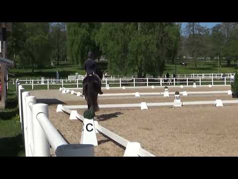 Esther & Avicii dressyr LB:2 Grevagården 19/5-23.