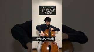 Download lagu 白鳥の湖 チャイコフスキー mp3
