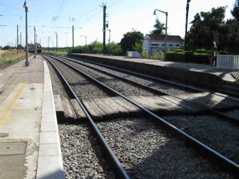 Comboio especial do PTG 2012 à passagem por Mato de Miranda