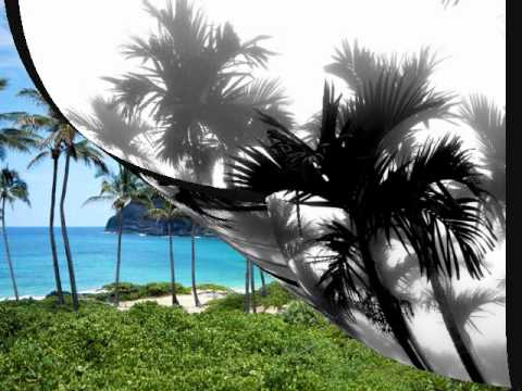 Video thumbnail for Siento la Nostalgia de Palmeras