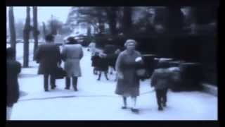 Trouble sleep-Assassin (Last Words of Hassan Sabbah)