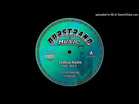 Joshua Hales ft. Dre Z & Brizion - Got A Feeling (remix) (Dubstrand Studio) Single 08 December 2025