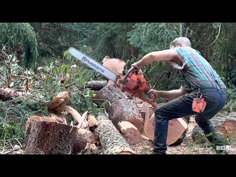 Chainsaw kick Back ,Short Bar syndrome,