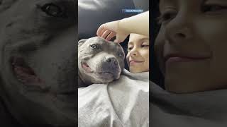 This Kid And His Pittie Do Everything Together |
