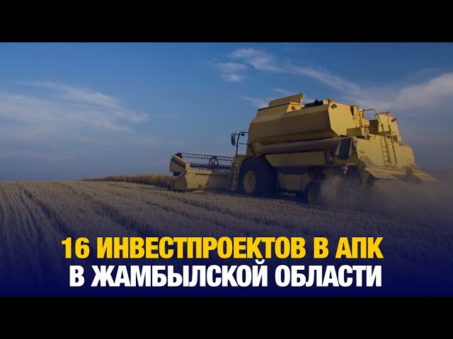 В Жамбылской области реализуются 16 инвестпроектов в АПК