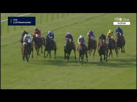 Emirates Autumn Stakes - Gruppe 3