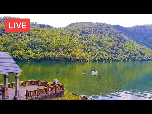 花蓮天氣 Motics