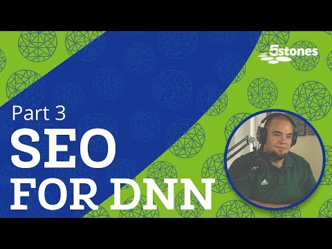 SEO for DotNetNuke - Choosing the Right Blog Module