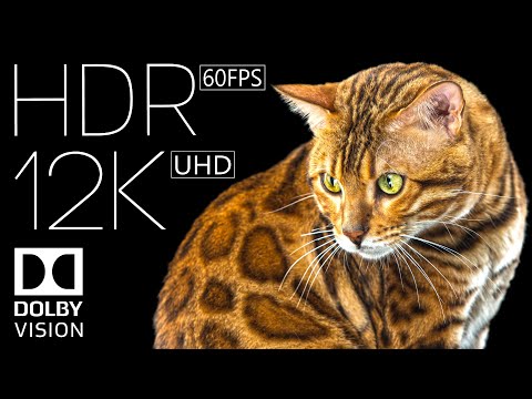 World of 12K HDR 60fps Dolby Vision