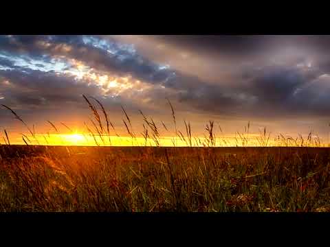 Safely Through Another Week