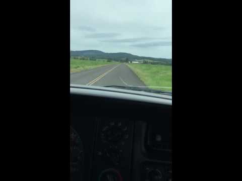 Qaudzilla ADR cummins