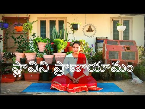 Plavini Pranayama |ప్లావిని ప్రాణాయామం | Steps -Benefits & variations
