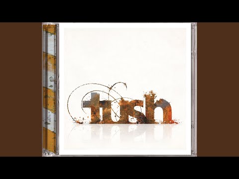 Asi Llegaste - Tush