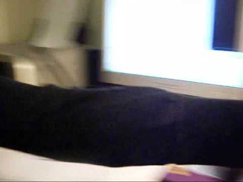 Me and Demi's cuh-RAZY response ( feat gaudi )