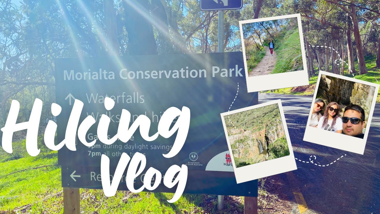 Embark on a virtual hike at Morialta Conservation Park.