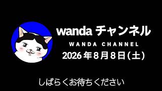 【#日本保守党】雑談回❗(2026/8/8)ーちいかわ 見てきた！（ネタばれあり！）ー