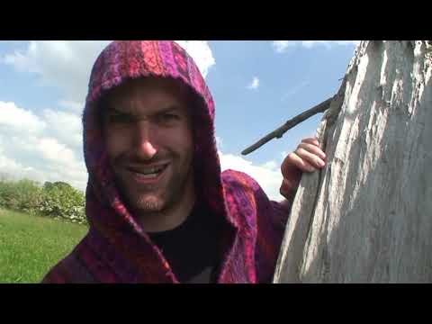 NFEST 19 - Meet the bands - Compilation