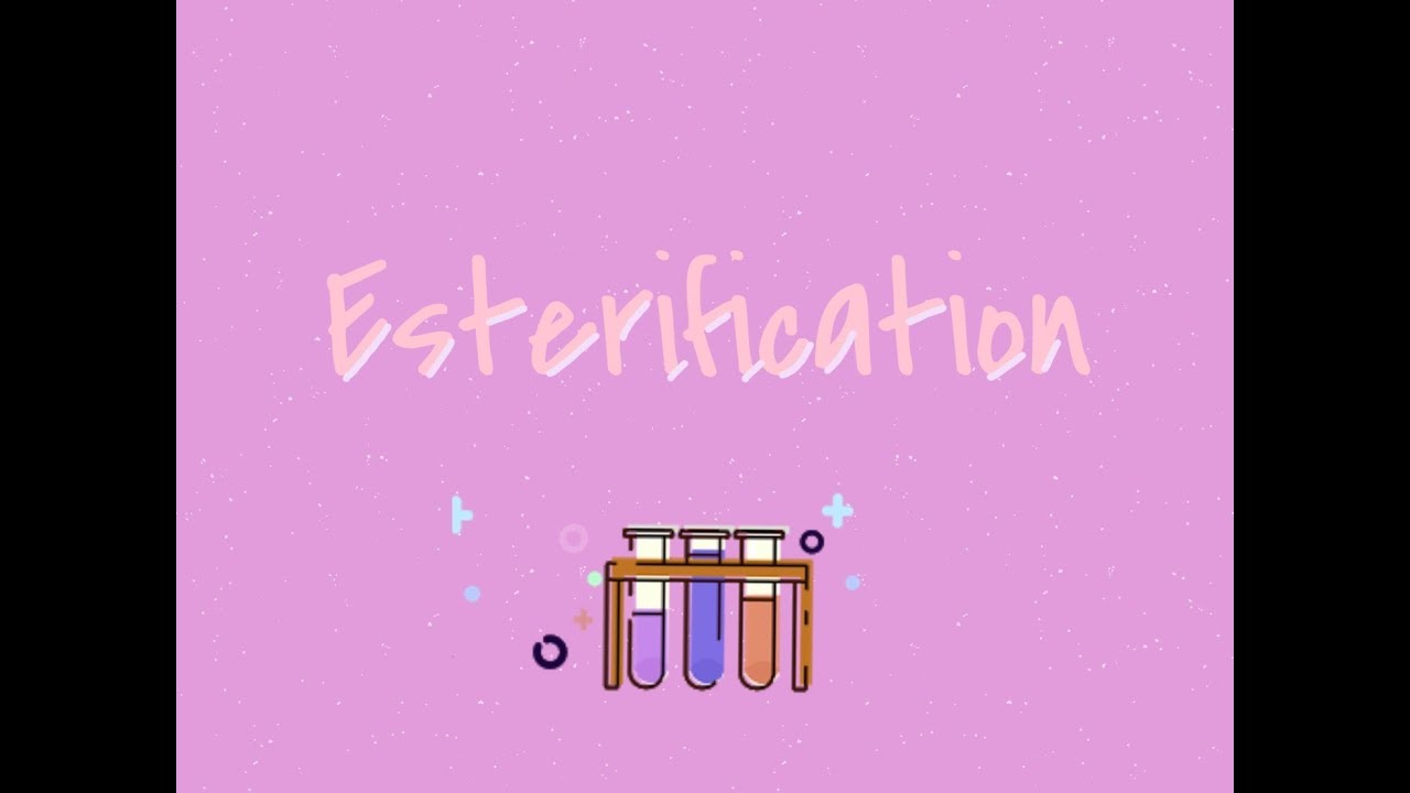 การทดลองปฎิกิริยา Esterification