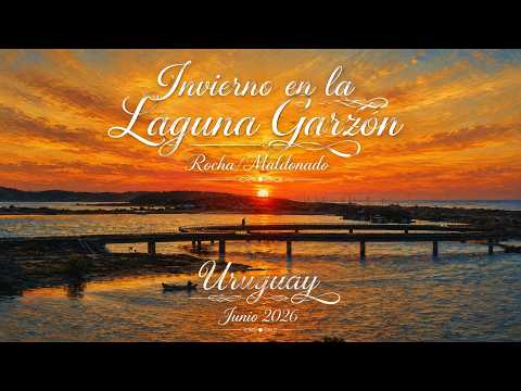 Invierno en la Laguna Garzón Rocha/Maldonado Uruguay