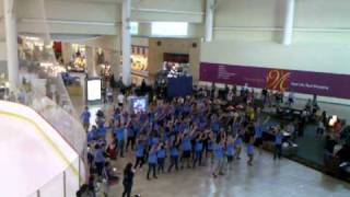 CFISD PALs flashmob
