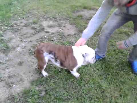 GRAND PRIX NEWS- Strejda Fili ( Pio Squad),Dj Enemy a Kikin