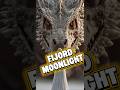 FIJORD MOONLIGHT Lyrics 🌙Draugr Beatz ㅣDuetㅣ#vikingsofinstagram  #vikinghiphop #vikingsong #shorts