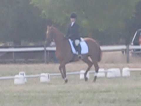 When dressage tests don't go to plan..