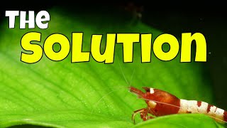 A Good Problem but Still a Problem..