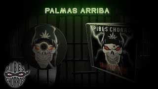 Palmas Arriba (tradução) - Pibes Chorros - VAGALUME