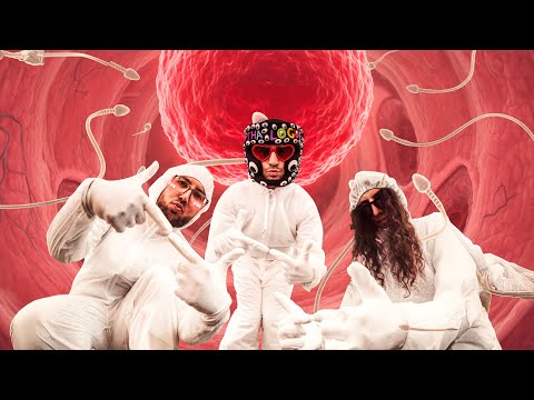 FRAXU x Martha Logue x Egonn - Ovulatie