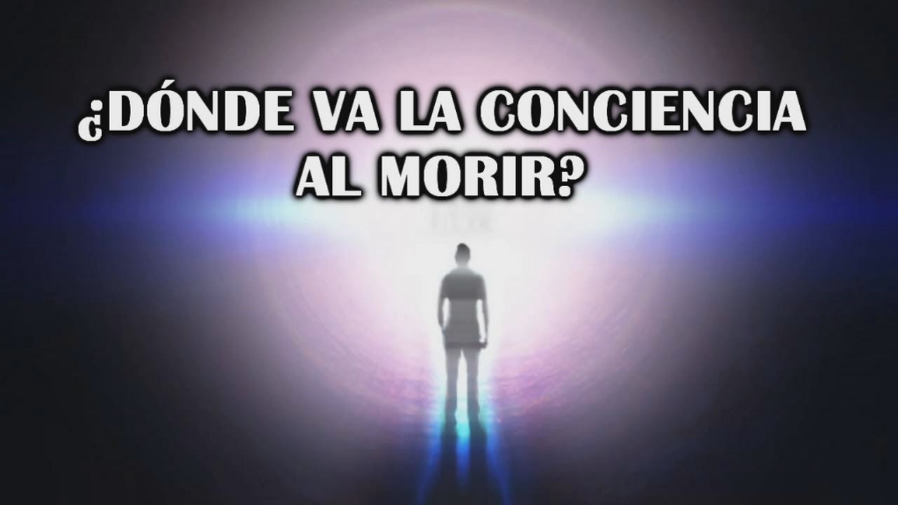 ¿Hay conciencia después de la muerte? ¿Existe vida?