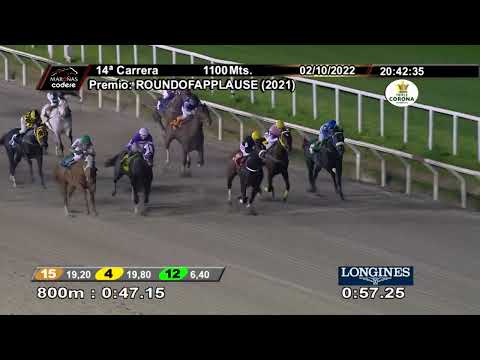 221002 c14 LEGAJO RUNNER