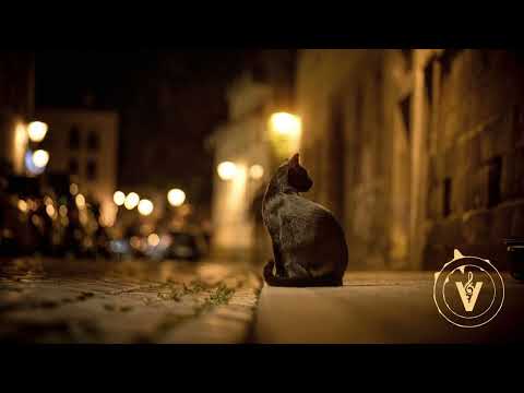 KarmawiN - Blue Cats