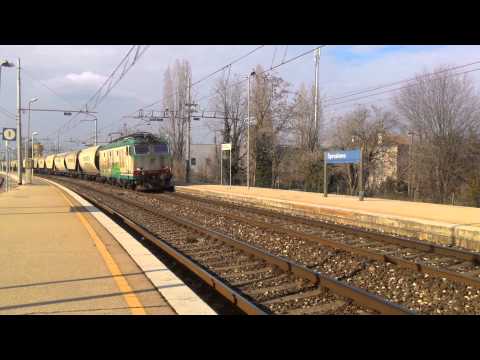 Tigrone e cereali in quel di Spresiano (TV)